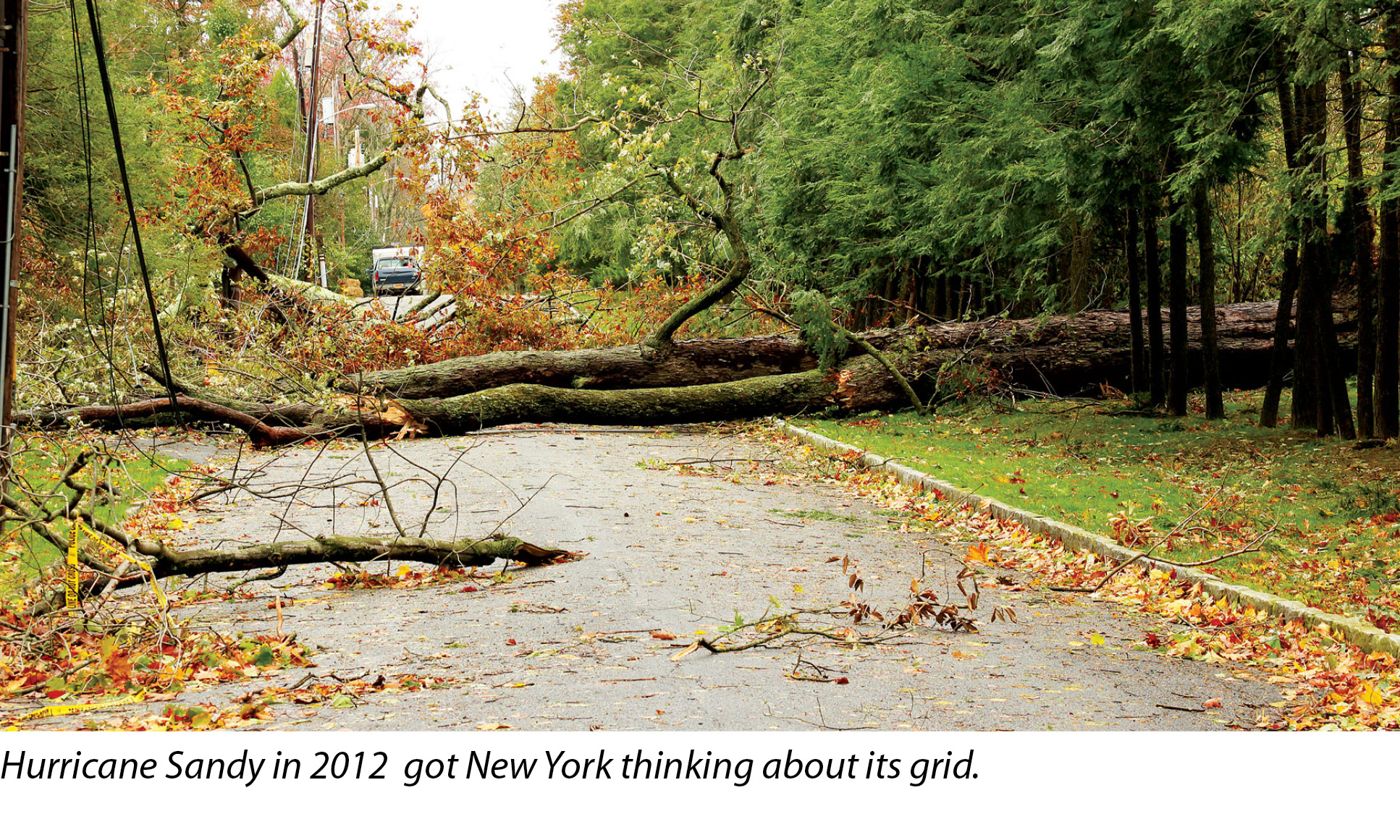 192071.jpg 192071.jpg