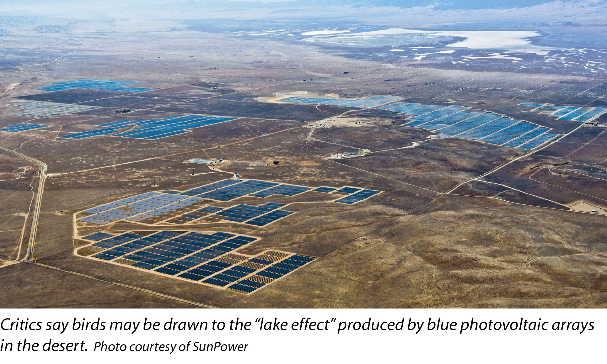 190021.jpg 190021.jpg