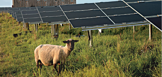 coverphoto.indd coverphoto.indd