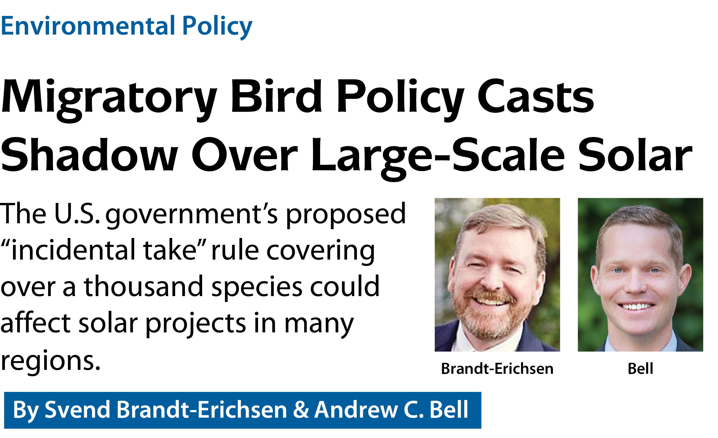 188471.jpg 188471.jpg