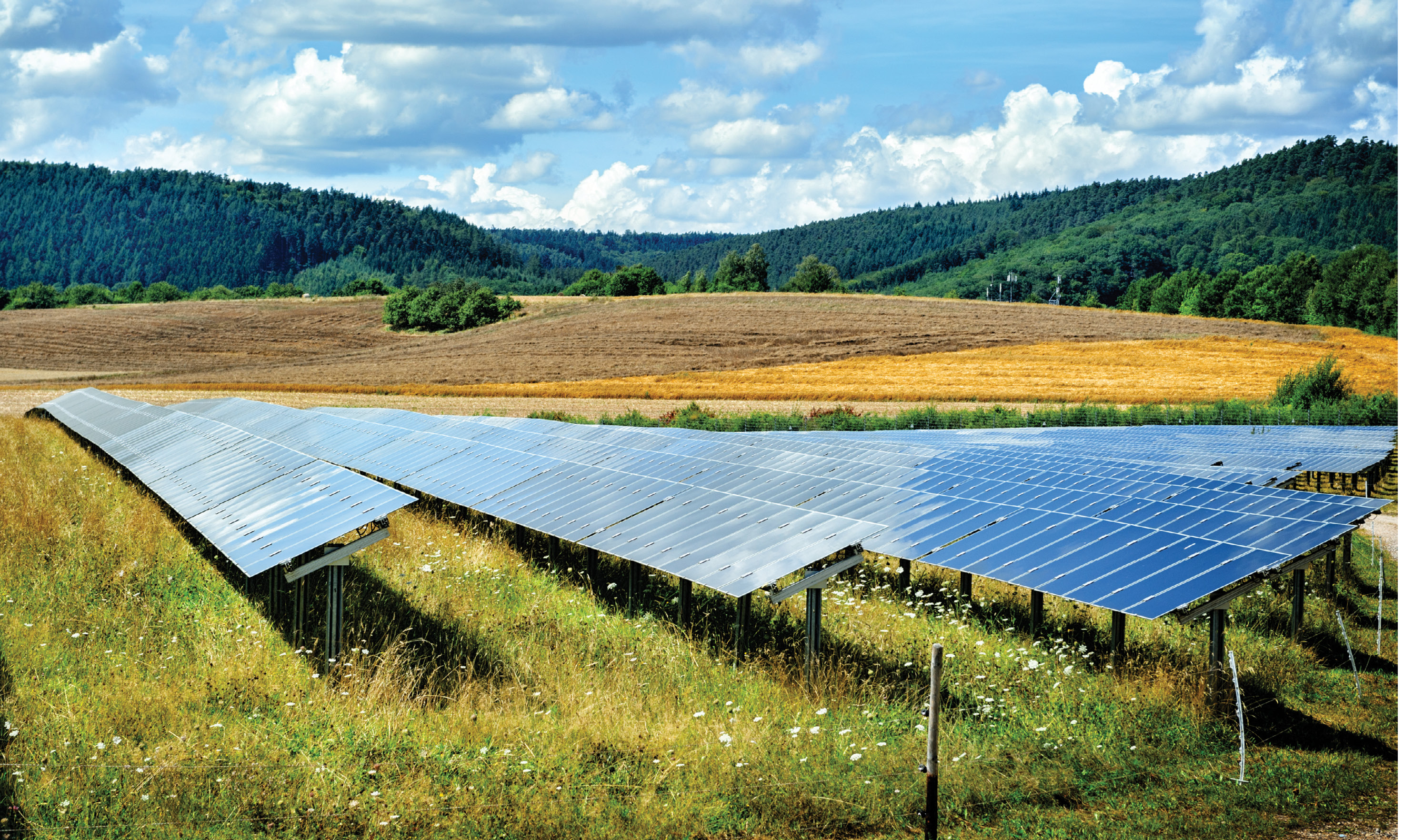 iStock_58542976_LARGE.jpg iStock_58542976_LARGE.jpg